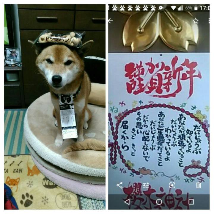 Bee1bea9 2fbd 4a68 a2ca 8c805a18e148 1578039107252