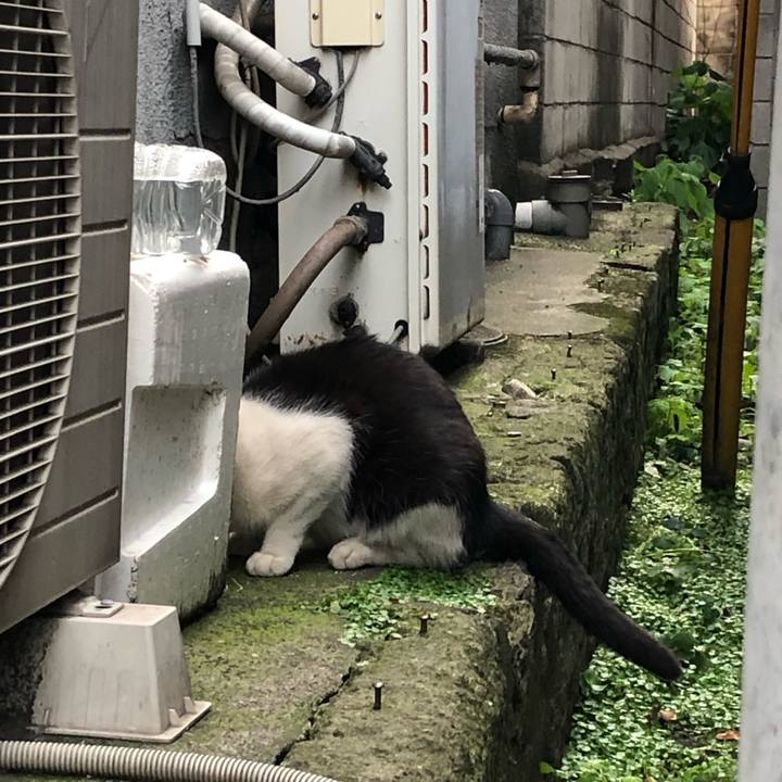 Bee1c83a 6fe9 4d85 b6e7 7021de7f119e 1560856986072