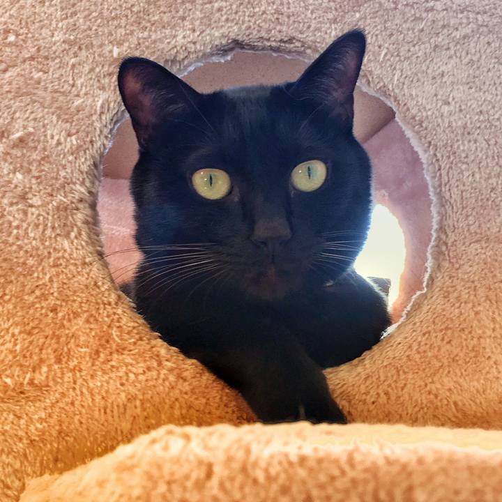 Bee1dce8 b1d7 4946 97a2 586ec64bf330 1514958766226