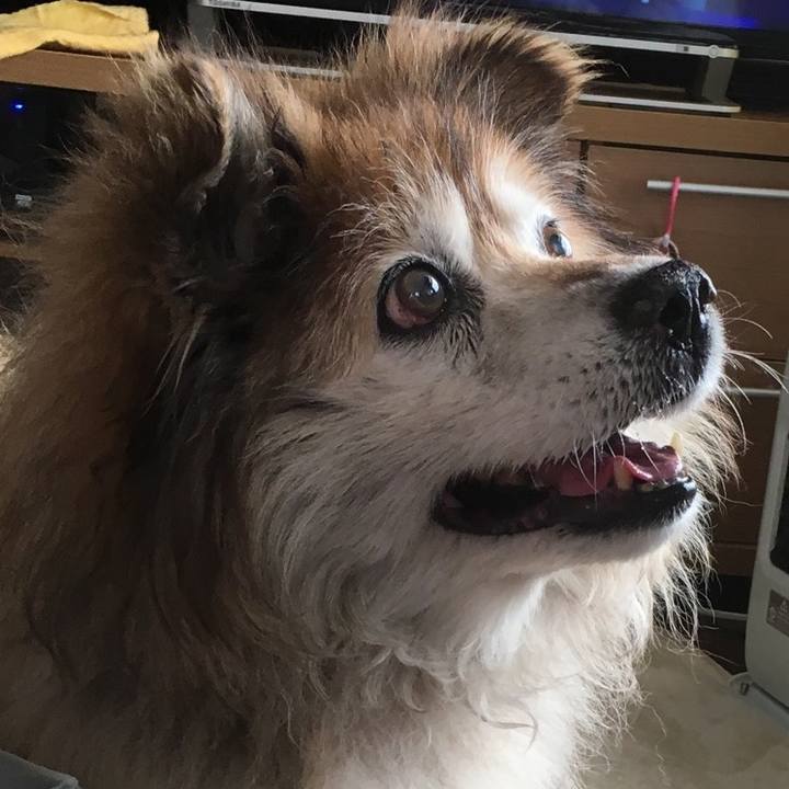 Bee1ef07 fb47 4934 b885 5c8b07424396 1589757208429