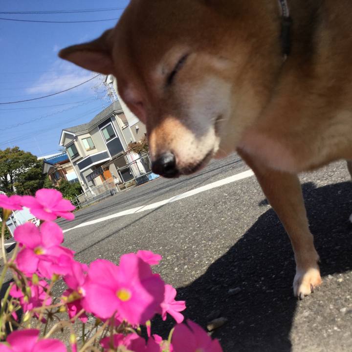 Bee230b0 a94e 422b b286 477363a9c694 1572258585861