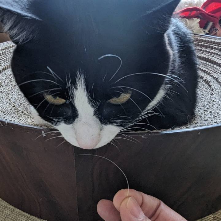 Bee23927 4cf2 4421 9fc2 95f80a89b517 1696686552022