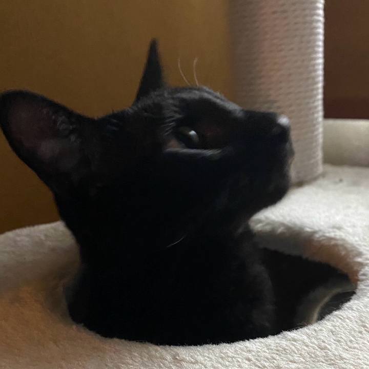 Bee25c3a 9253 4dc4 ae68 8bf2b9f2155b 1764071631269