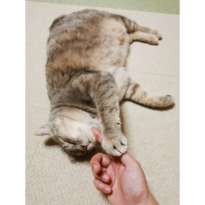 Bee27189 b984 4ec4 a658 d4b7dc1902a6 1632281864829