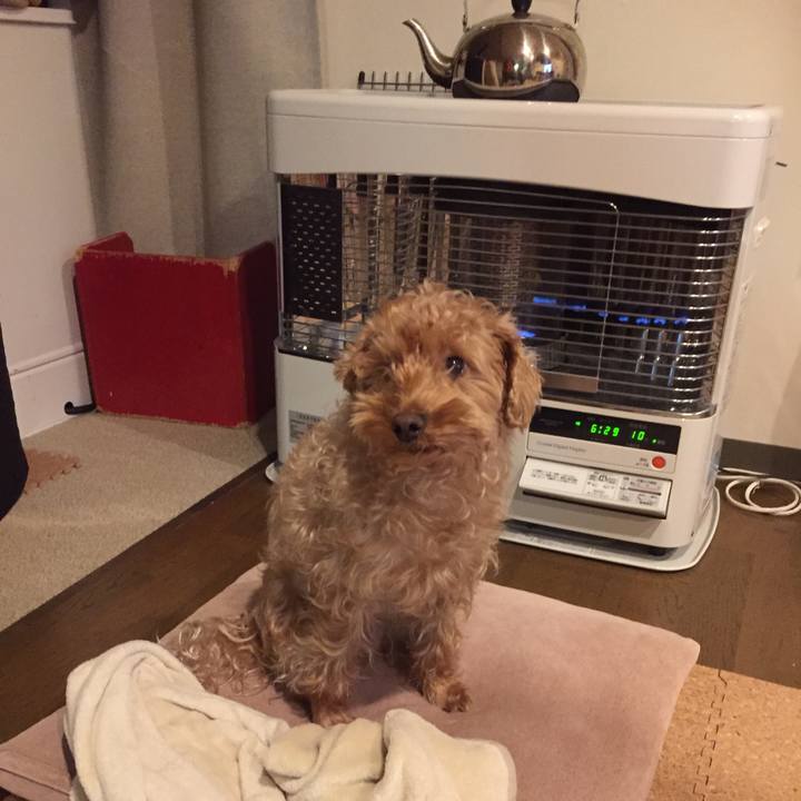 Bee27cd2 ae2f 4ec3 8727 1147dc1ef2d4 1511990892362