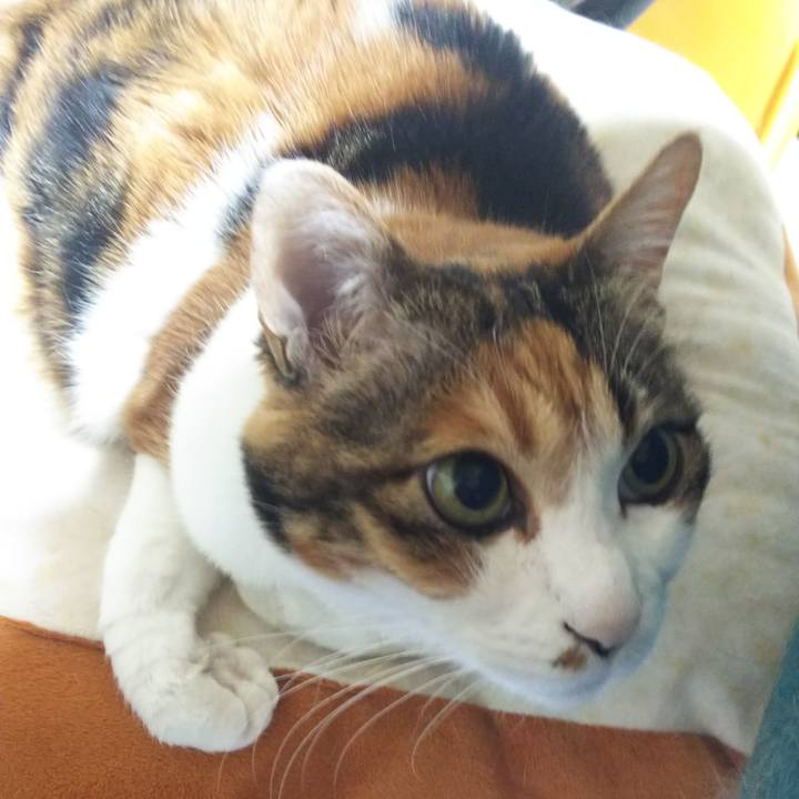 Bee281d6 82c5 415a b957 799be221e118 1551908749794