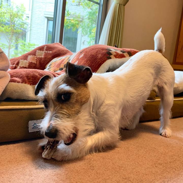 Bee289d4 a0b3 435b b452 575d00e57b0d 1587355016067