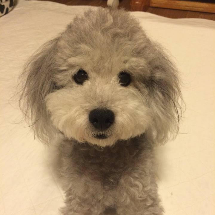 Bee2aab8 7637 4306 bd62 d1ec3320de7a 1750811121752