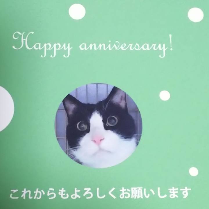 Bee2fdc2 640e 459f 95c8 445d3b16318b 1573298560464