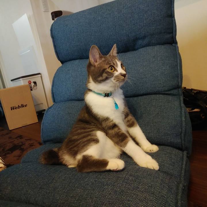 Bee32062 e941 4264 89ef 099790721073 1574347327422