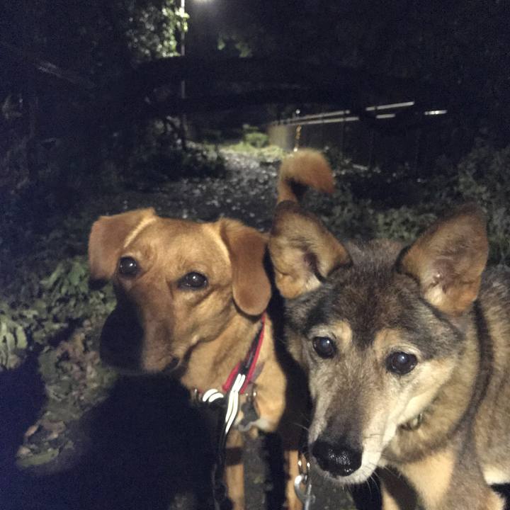 Bee34312 1151 463f bfab a851dcbe2521 1538485924713