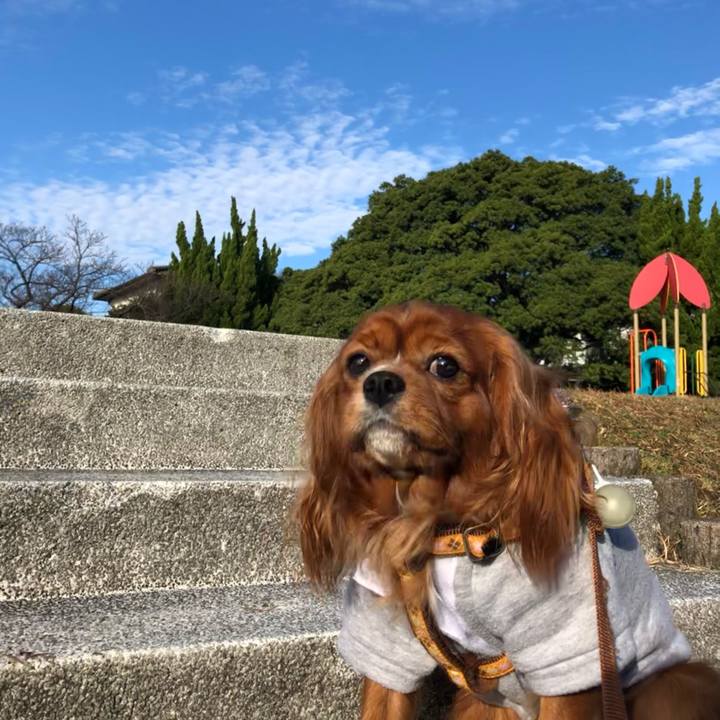 Bee35520 7a0a 4d47 b4ee 4b82a45836e9 1606688652070