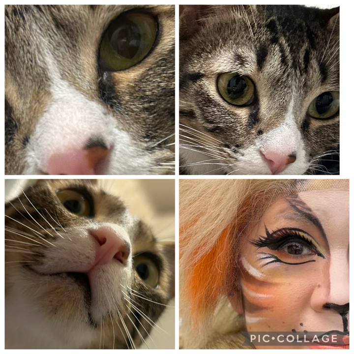 Bee38e41 65a5 40ab bf57 71b597cefac7 1767022331343