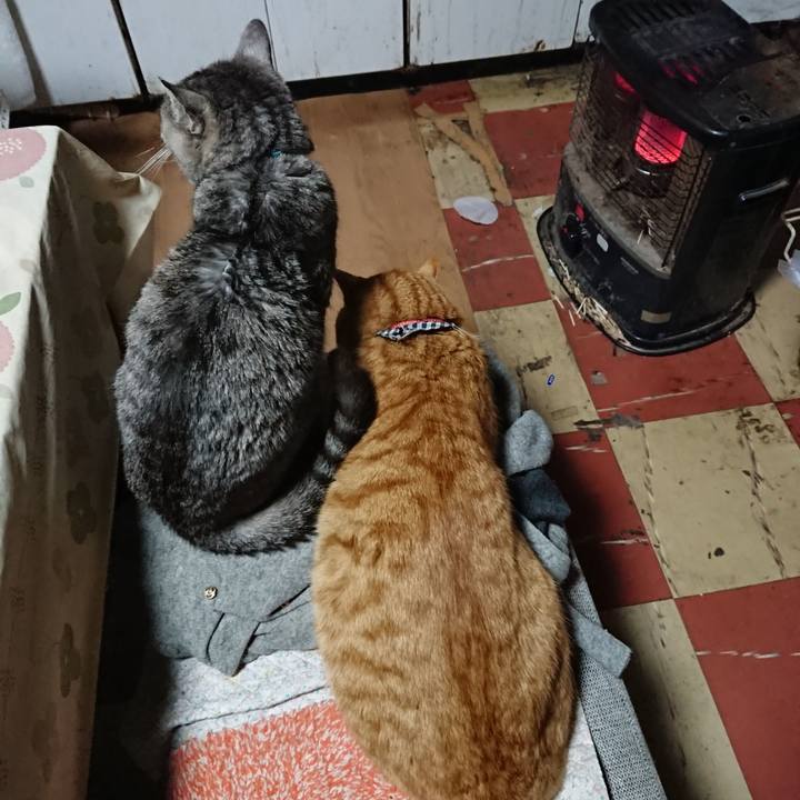 Bee3a184 5f40 4315 86a4 9bedf829a736 1575841191182