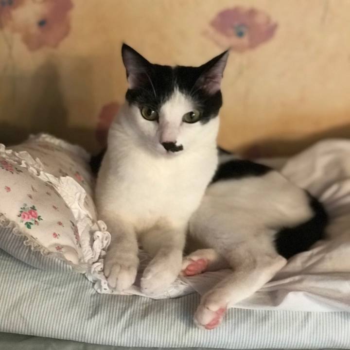 Bee3a82a d092 424e be93 310b6ac2b94d 1528260757241