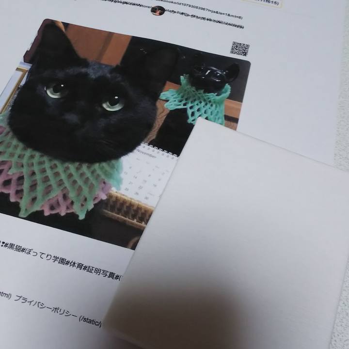 Bee42f2b 8ad7 4e7a 9abc a997e1147c18 1563708825792