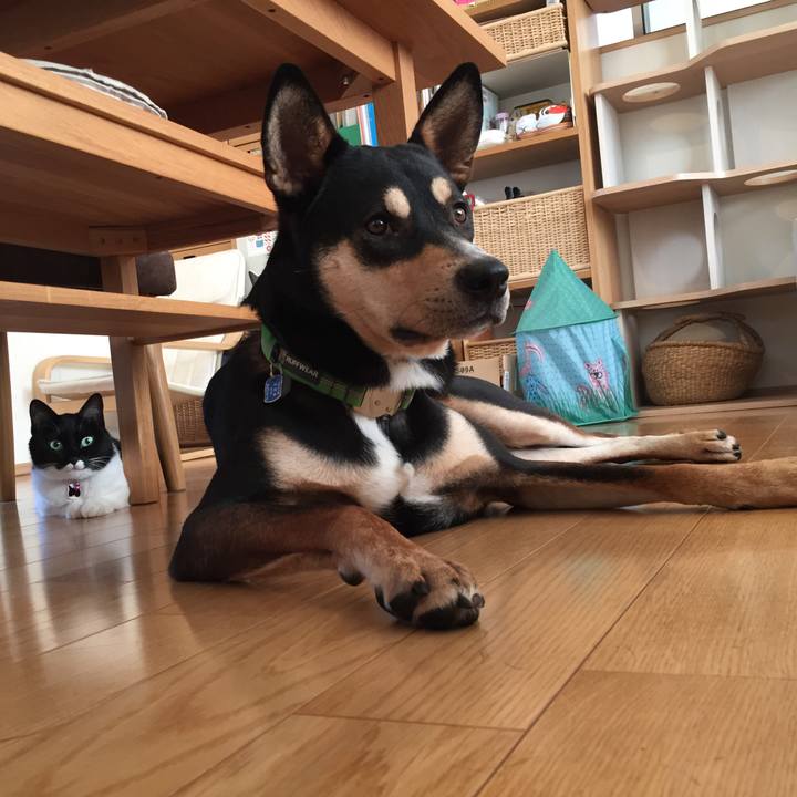 Bee44909 116d 4b09 9fb0 ad1635952875 1542932672352