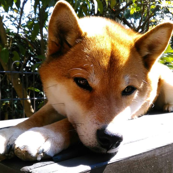 Bee47bc9 da6c 42fe 9ee2 c7927ccb8f73 1519967586722