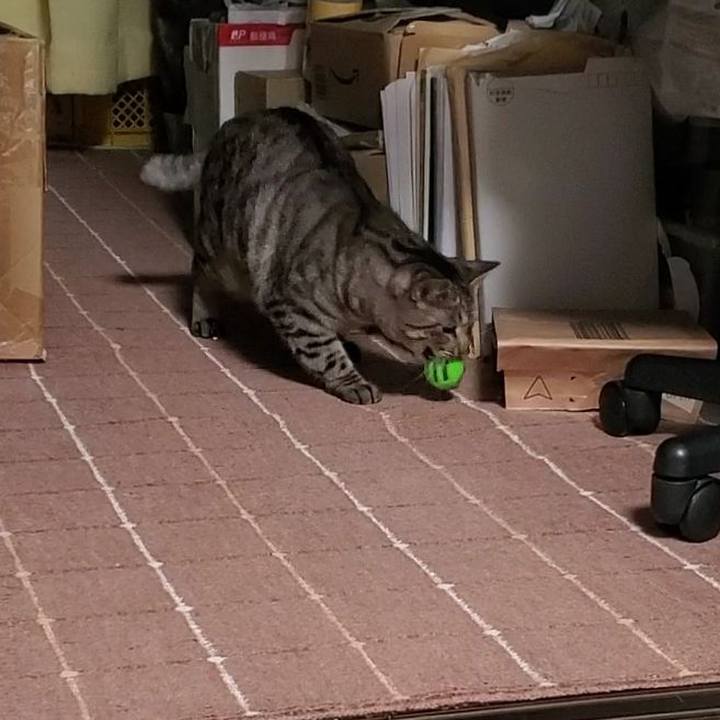 Bee4931a e1fe 432b af27 3b17a0e77c73 1707008789112