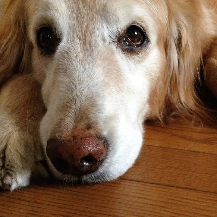 Bee4b0ae 3b2f 4539 bc1b eb6891bbf41d 1765619828892