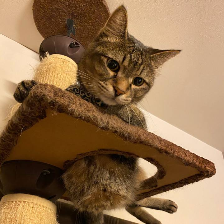 Bee4f669 1bd5 42ac 976b 3f610bad2474 1596289911941