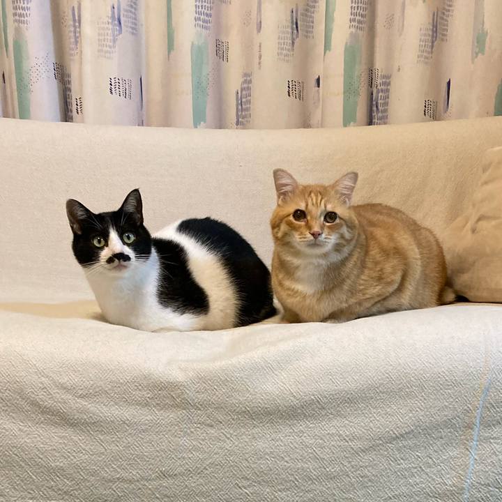 Bee4f991 bfce 48a9 a6df d7ab22bd6deb 1763206523901