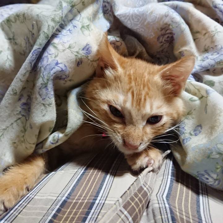 Bee5181d 3884 4d89 80dd a94360068cd8 1630845064582