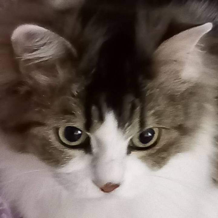 Bee51cd2 2d66 40e0 acc6 9e327c530fdf 1622287034206