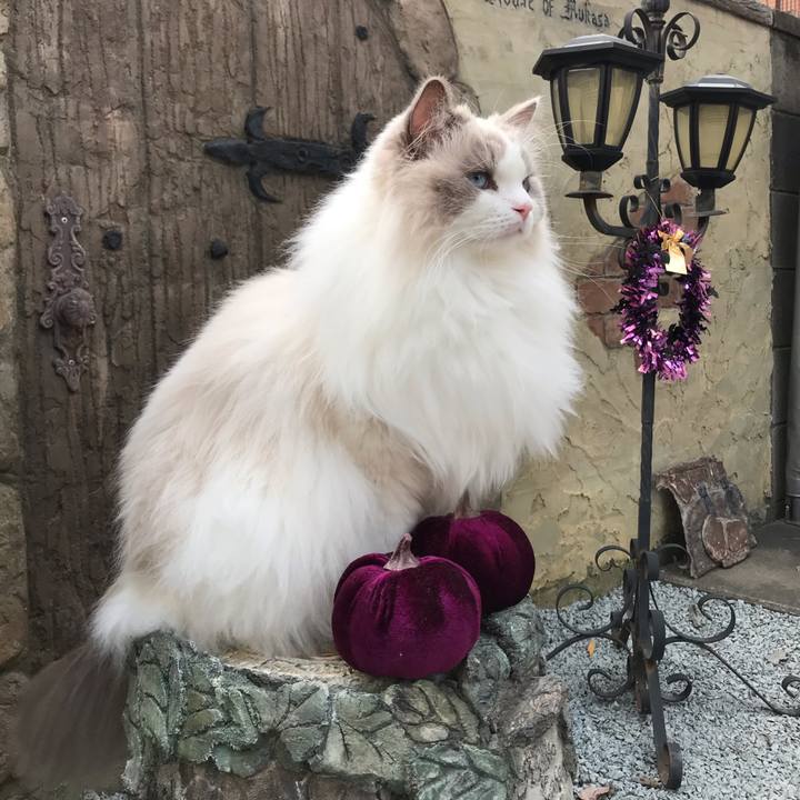 Bee564a7 f42f 4128 bb71 2e36d9bd6364 1615449221562