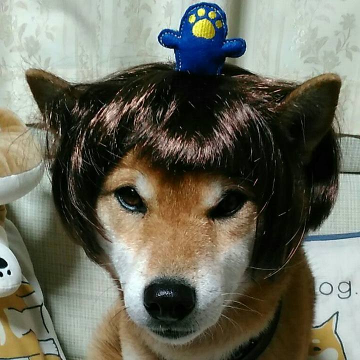 Bee574b6 4f1e 4db7 876b f9d482b55a92 1549637162296