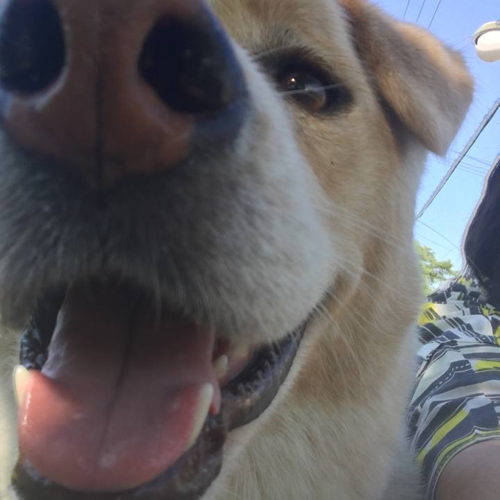 Bee5a7c6 5a54 49d9 a3b0 fc7bdf490b47 1527980230863