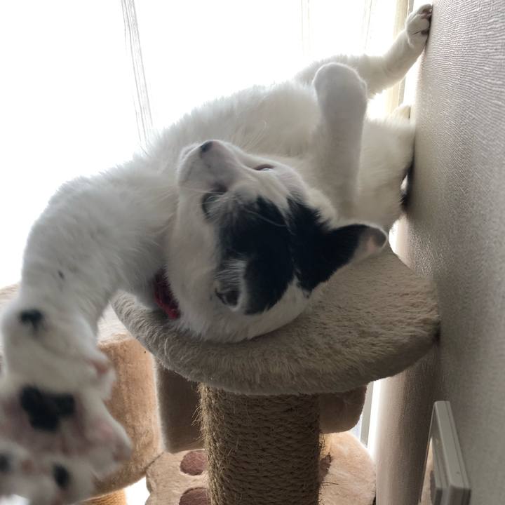 Bee5c583 10cb 4f1c 8a2f 8a6496b11439 1550896624875