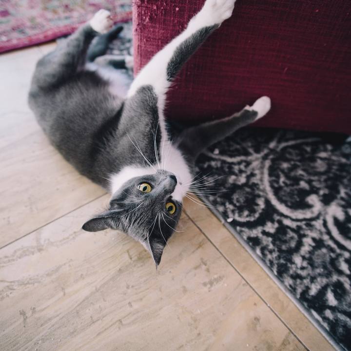 Bee61010 ebc1 42c7 9d51 a8f30e7f7b38 1510523375942