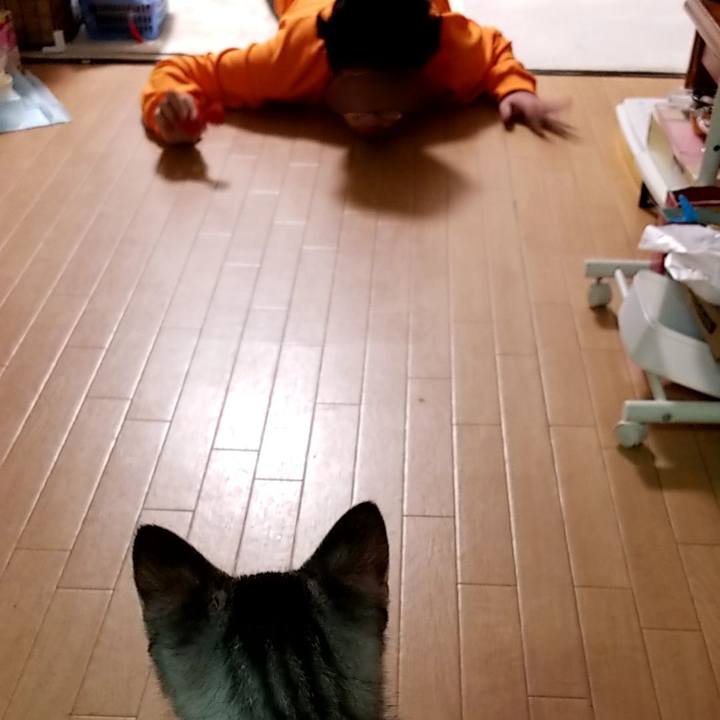 Bee6306a 3017 4710 a279 17d3079c2685 1664879307083