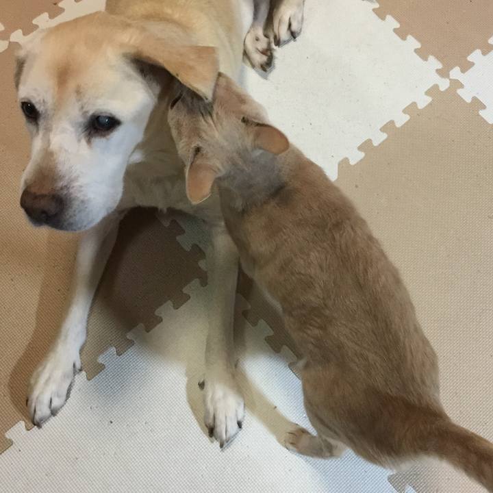 Bee667e7 f729 4829 a927 02fbaa1a46ce 1582111649959