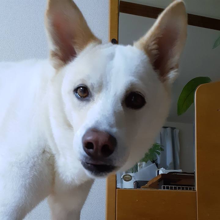 Bee68aa6 5a61 4a6b a349 004d0a4188b0 1661347702896