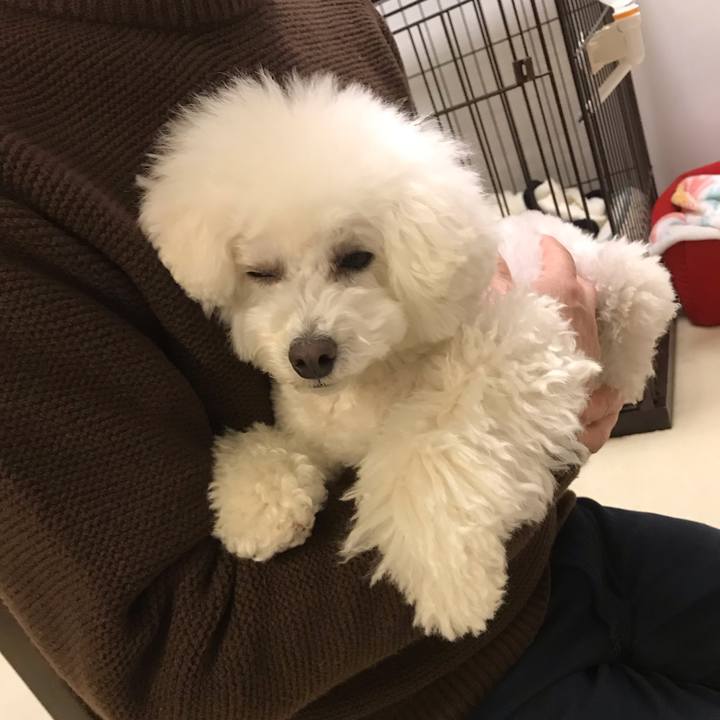 Bee6bc37 1173 4506 a227 188f868b0e74 1549955313437