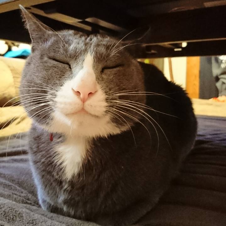 Bee6e4aa eb46 4c87 b747 ed9a0ea5dc59 1513929565712