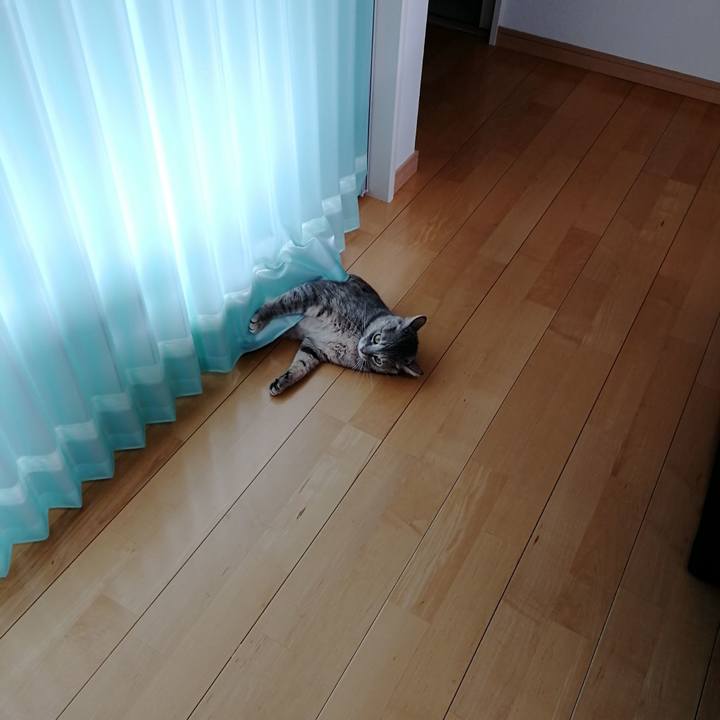 Bee6f67b 97d2 4291 a802 55f043c50374 1543298118543