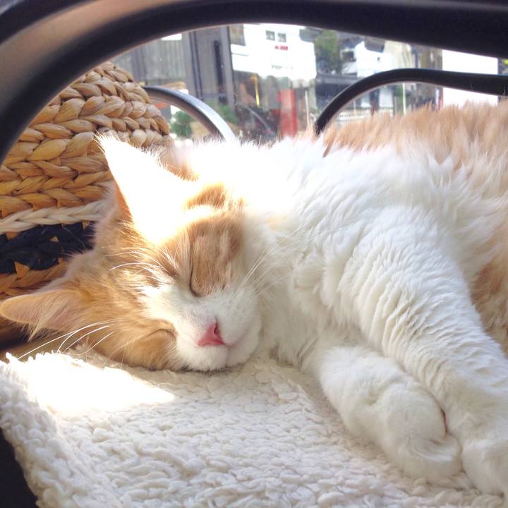 Bee724c2 7a1d 4f6d b384 e1186dada1ba 1519255713751