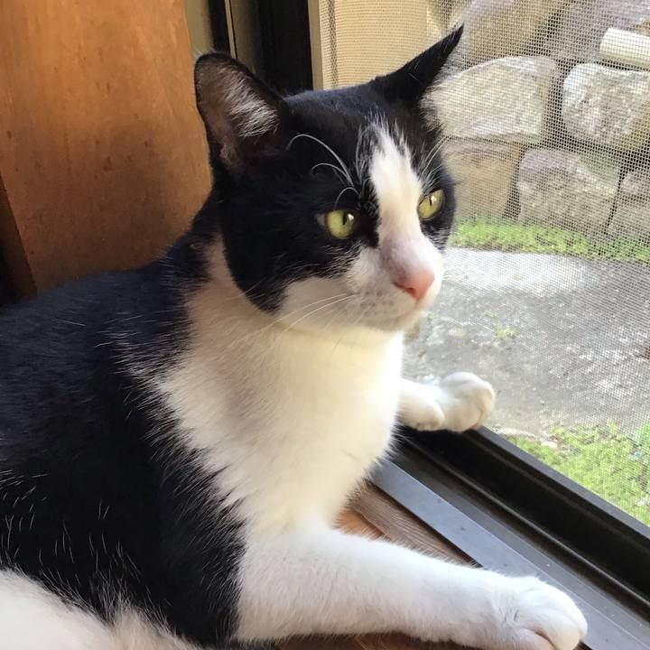 Bee732c7 d556 405f 892d 1ad4e2aa1d9e 1723884653681