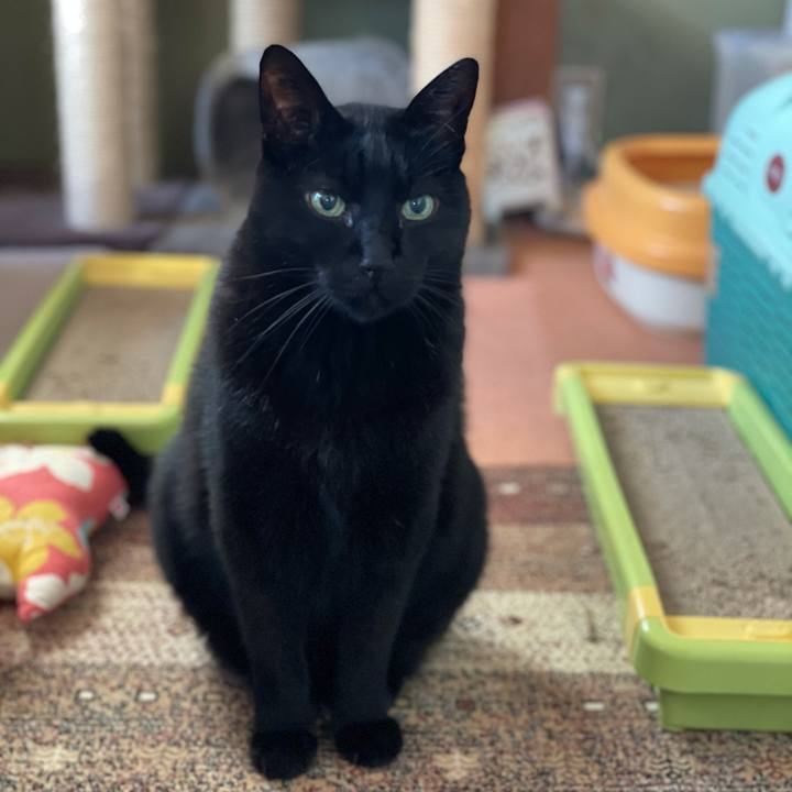 Bee73ea6 4ef9 438a 8169 e24281367b4a 1611107179576