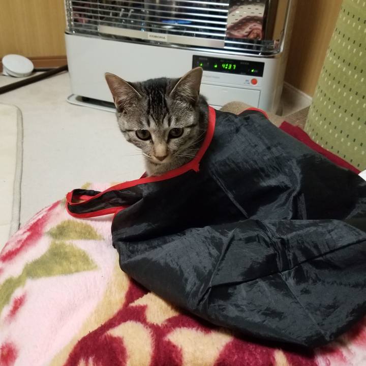 Bee747ed 7a08 41ce a2c3 95acfbf7c6db 1671755538543