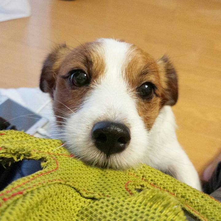 Bee7837e 4e91 4b63 956f 360bca731aa1 1508194349508