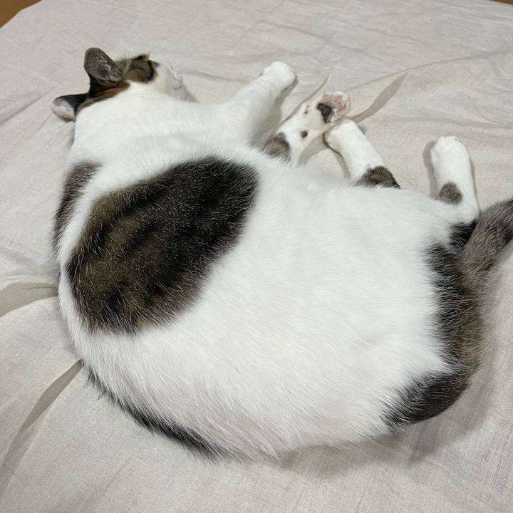 Bee7b6a4 b95d 4612 9b5f cf2eb12eaa1e 1714916745322