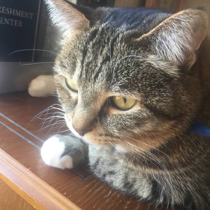 Bee7bce6 feab 4d8c 880b c550680de314 1555123601905