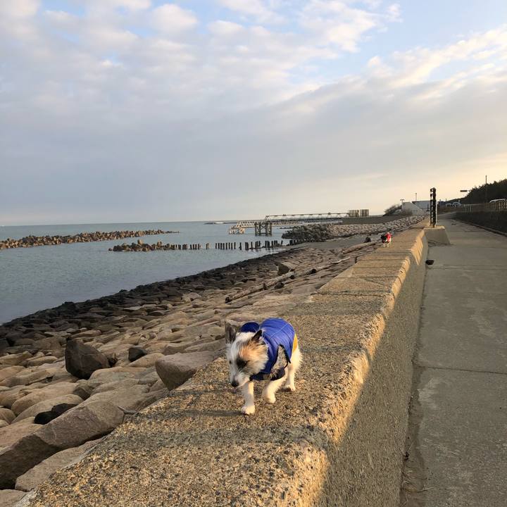 Bee7c563 25b9 4309 9b5e 541b3a5781fa 1580689594842