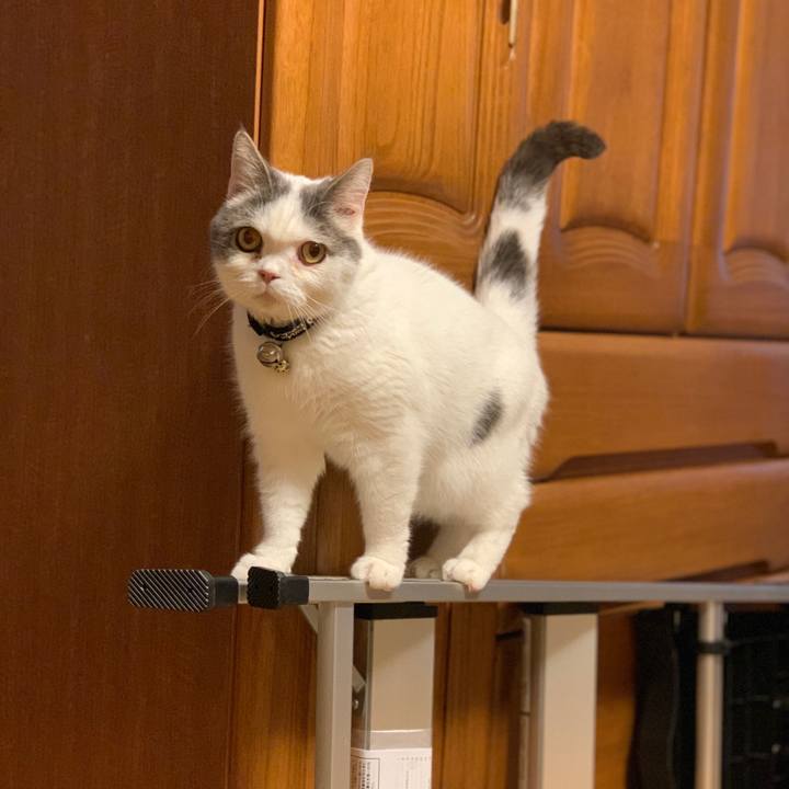 Bee7c9c7 7571 4bb7 a63f 2abc1ba3d356 1709889926776