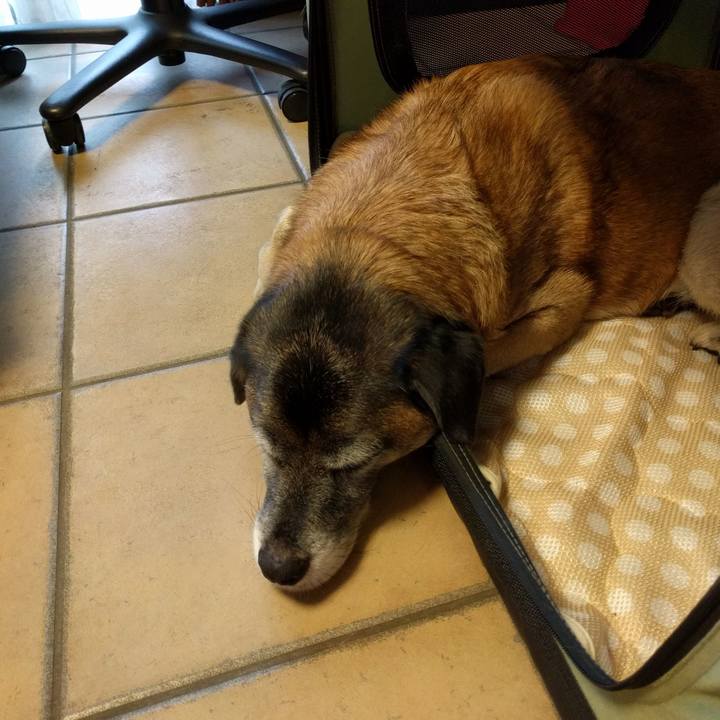 Bee7df94 d026 484c 8666 00d3077df5b8 1686186357647