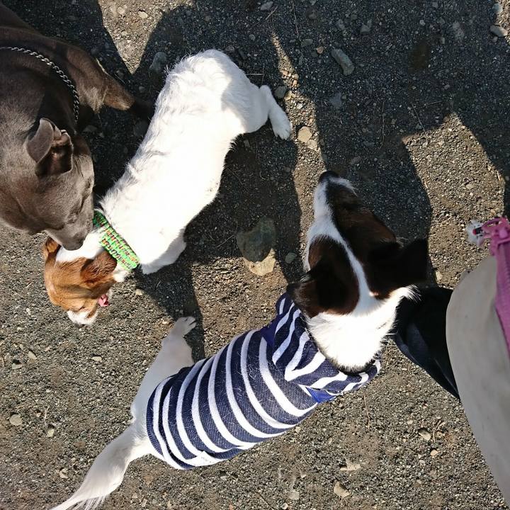 Bee83f3b 3766 4d02 8eae bccd8df12bf7 1522222409119